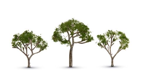 WOODLAND SCENICS TR3525 Gum Trees [3pcs] (6.35 cm - 8.89 cm)